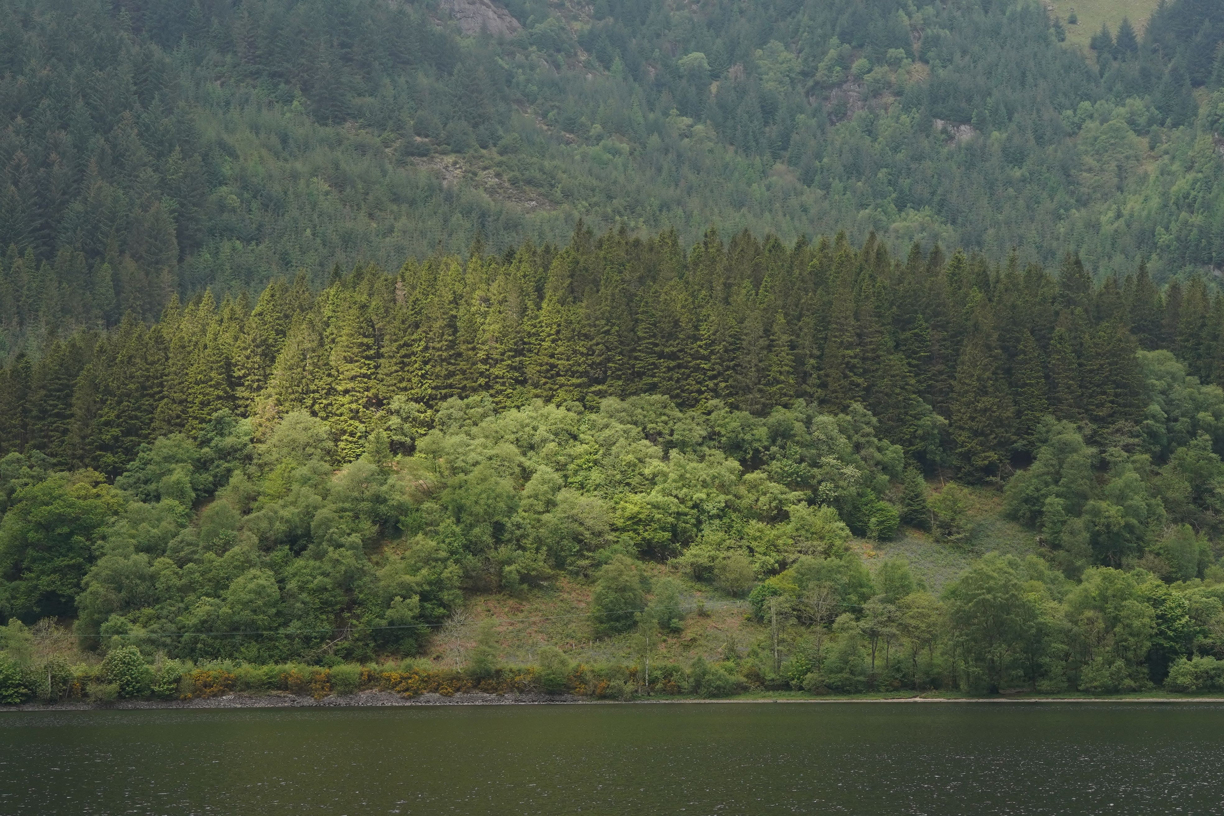 Have A Great Weekend Photos, Download The BEST Free Have A Great ...