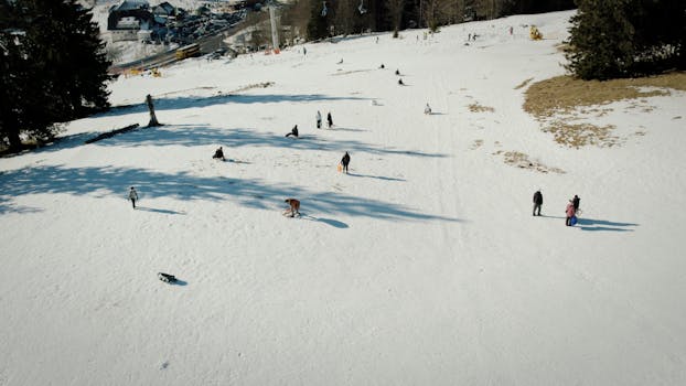 Aerial shot capturing people enjoying winter activities on a snowy slope in Feldberg, Germany.