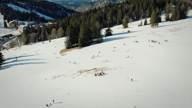 Drone captures serene winter scenery in Feldberg, Germany, with snowy slopes and scattered trees.