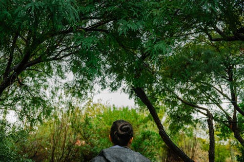 Foto d'estoc gratuïta de arbre verd pal, dona caminant sota un arbre, noia caminant sota palo verd