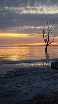 A lone tree stands against a serene lake backdrop during a dramatic sunset.