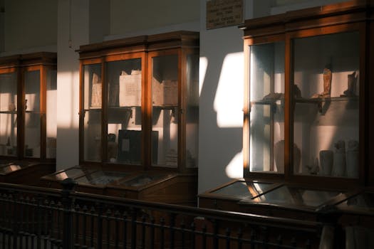 Antique display cabinets in a museum, illuminated by warm sunlight.