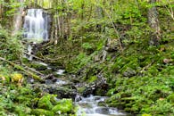 一条宁静的瀑布流经瑞典斯科夫德那片苔藓覆盖、郁郁葱葱的森林