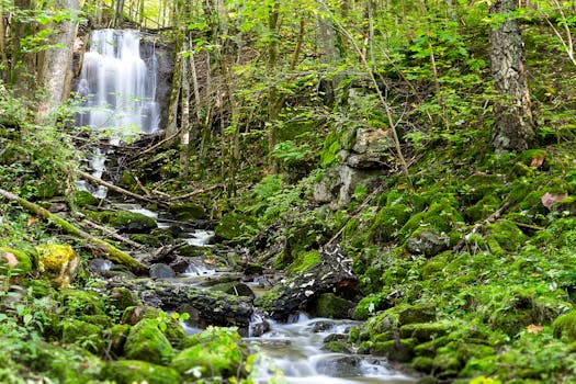 A serene waterfall flows through a lush, moss-covered forest in Skövde, Sweden.