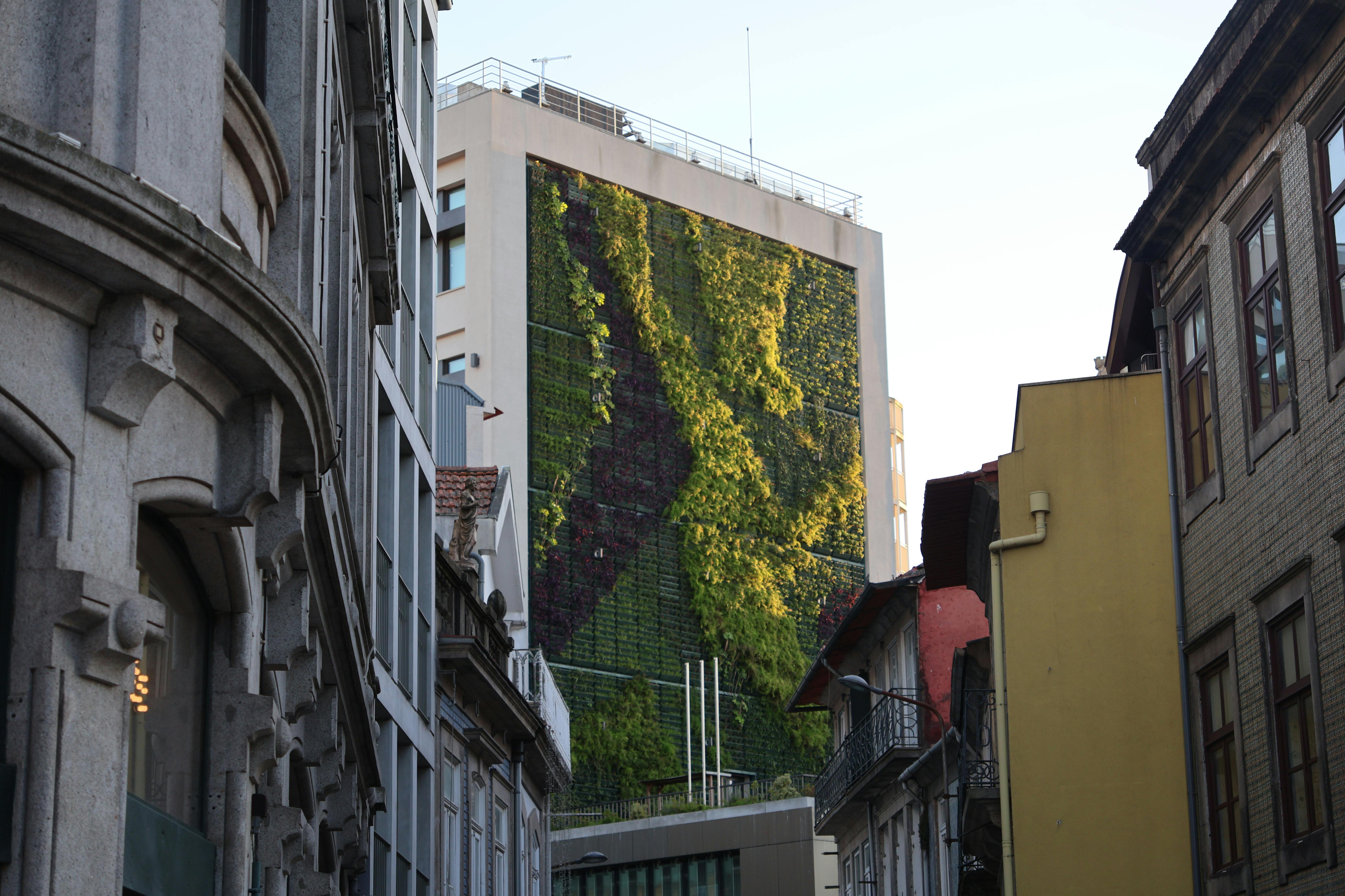 Urban Sustainability Initiatives: Building Greener Cities for the Future