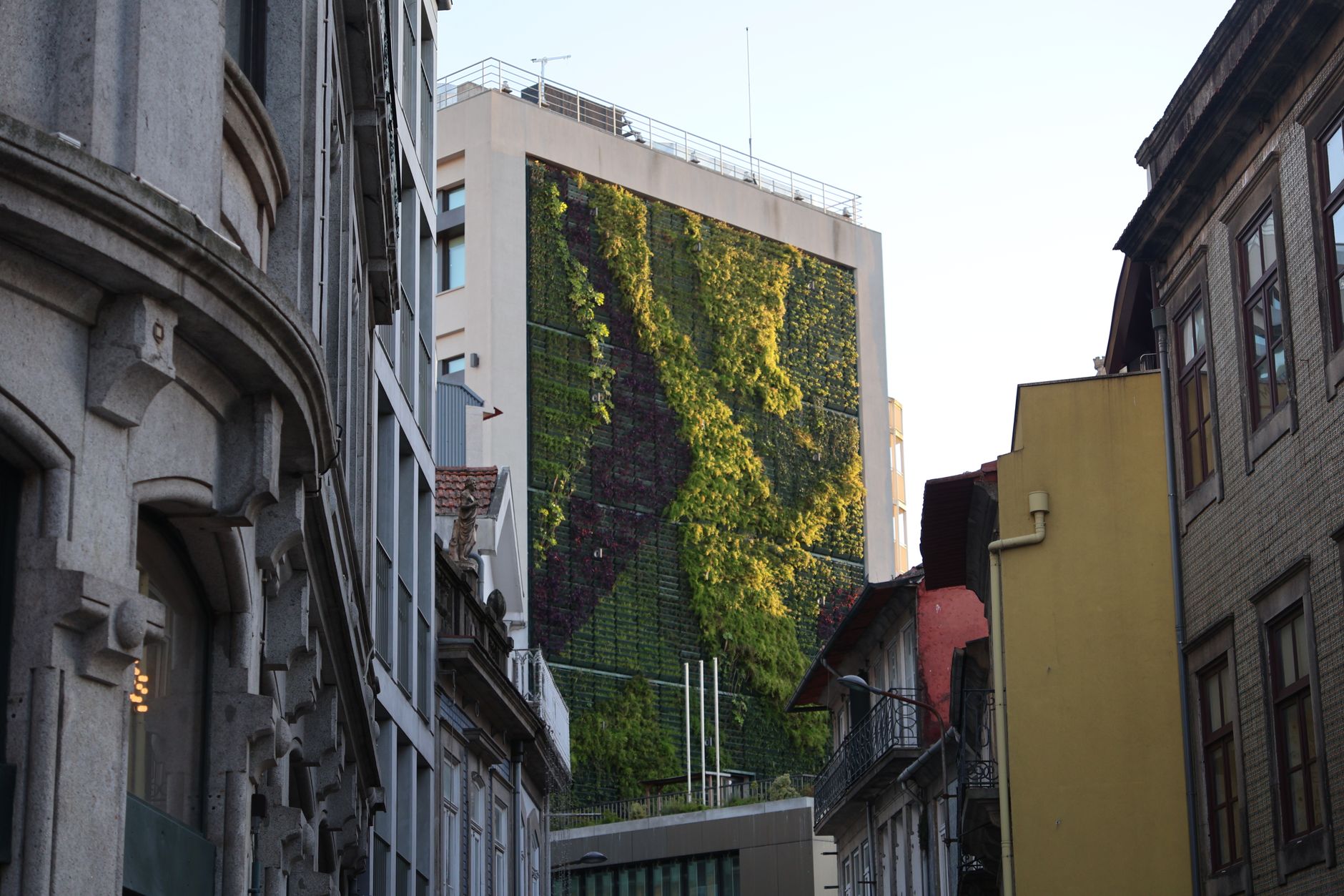 Cityscape with a vertical garden on a modern building among classic architecture.