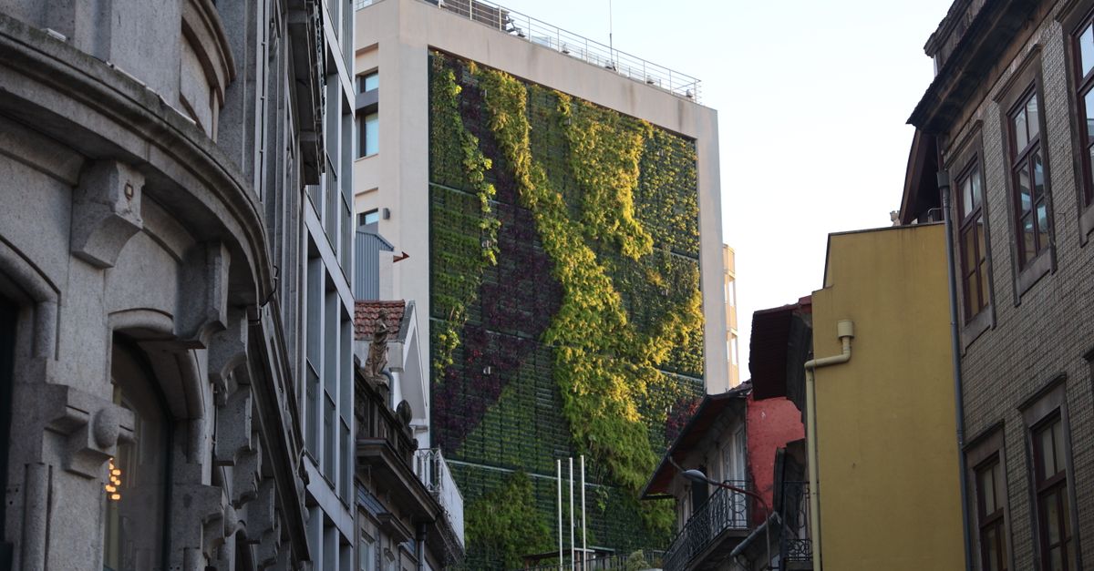 Cityscape with a vertical garden on a modern building among classic architecture.