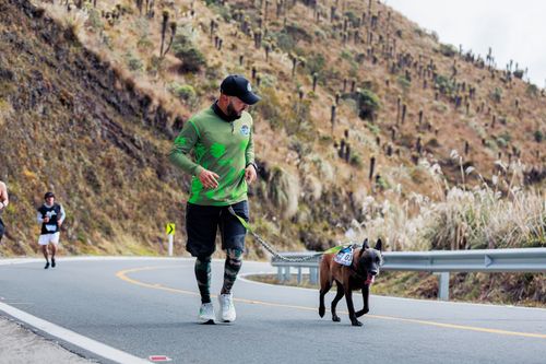 Free Athletic man and dog running on mountain road during a race. Stock Photo