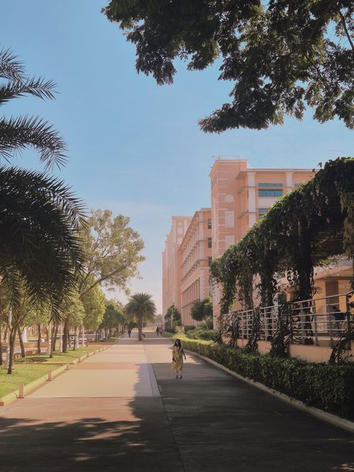 Free Serene tree-lined pathway alongside a modern building on a sunny day. Stock Photo