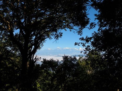 A breathtaking view of snow-capped mountains framed by dense forest foliage under a clear blue sky.