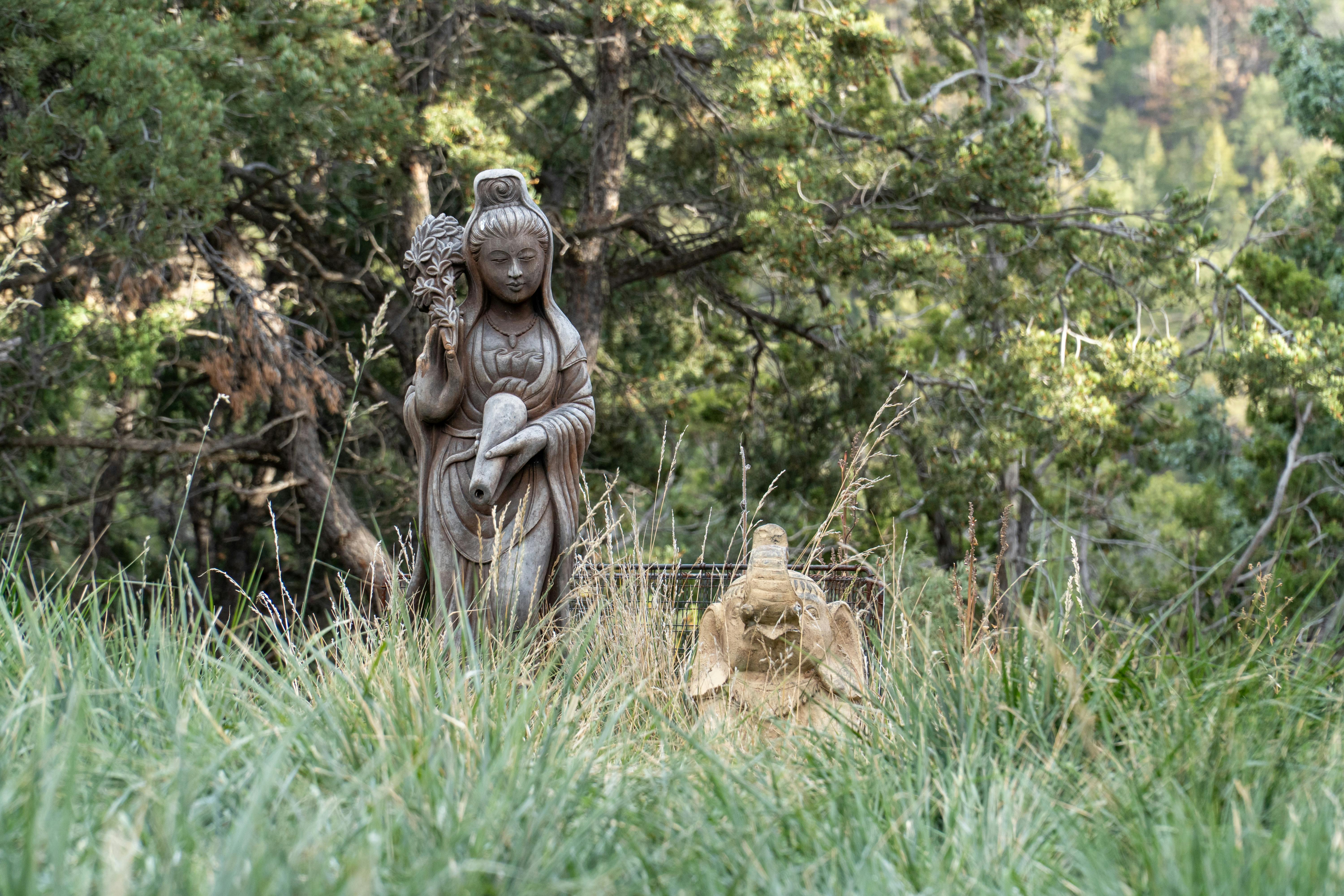 Mlilwane Wildlife Sanctuary