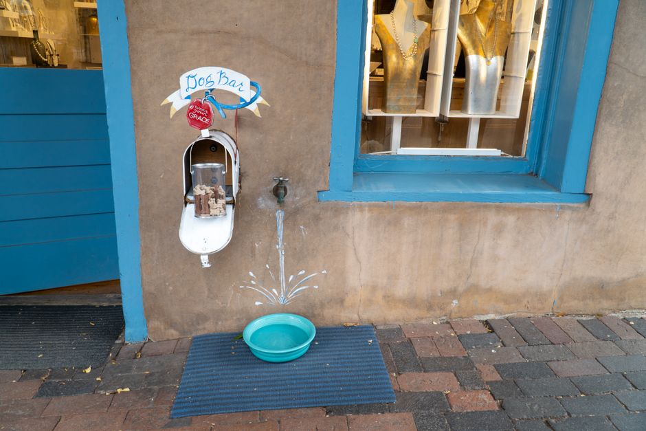 Charming dog bar in Santa Fe's Old Town, perfect for hydrated pets.
