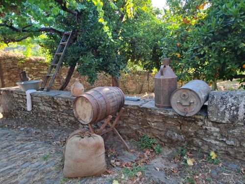 Free Vintage wine barrel and tools set in a lush vineyard orchard. Stock Photo