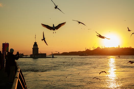 Capture the enchanting sunset over Istanbul's iconic Maiden's Tower, framed by flying seagulls.