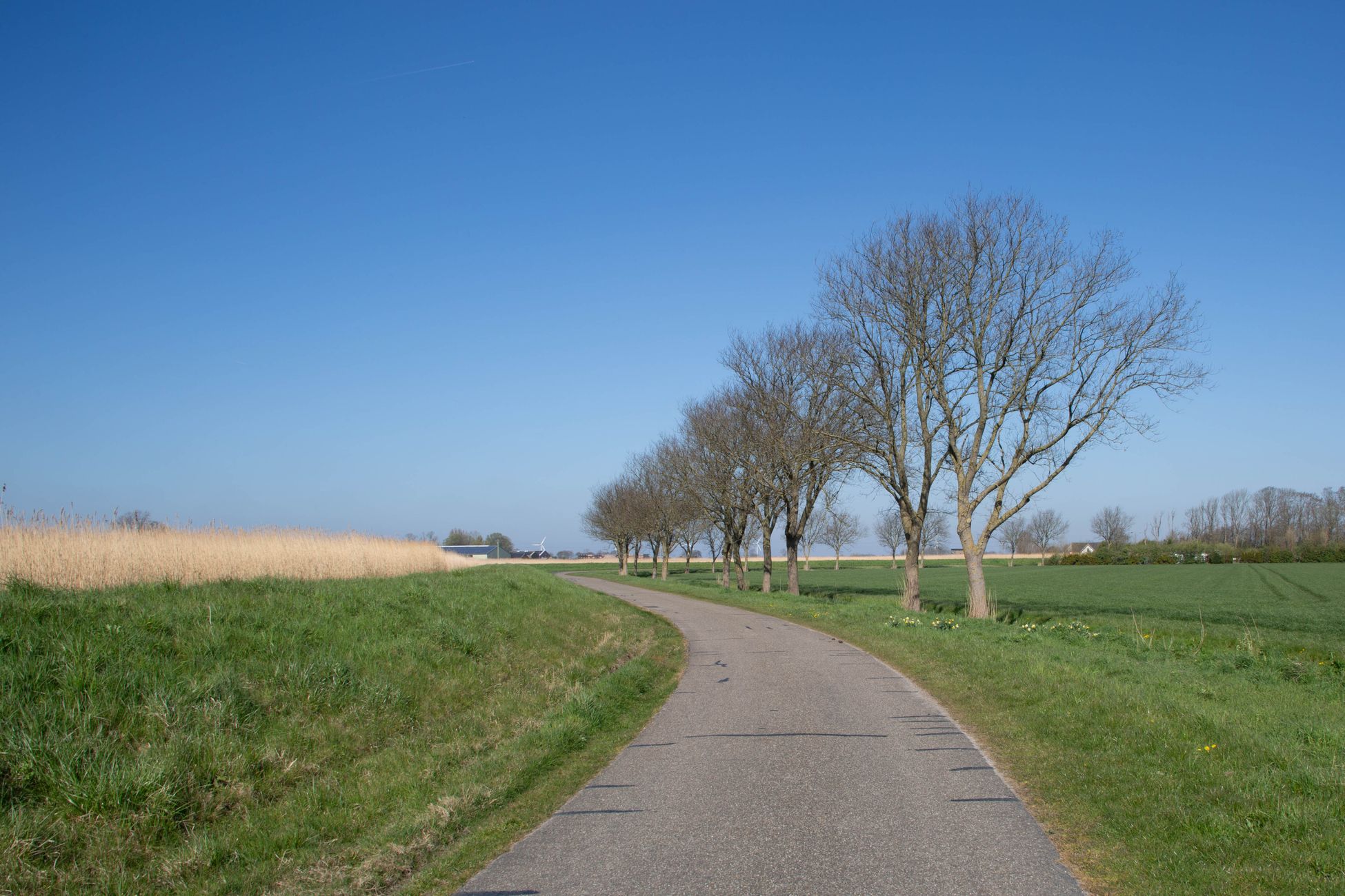 Nieuw fietspad van gerecycled materiaal vertoont al scheuren