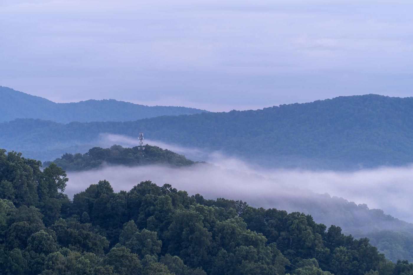 What a Life Coach for Gay Men in Asheville Actually Does