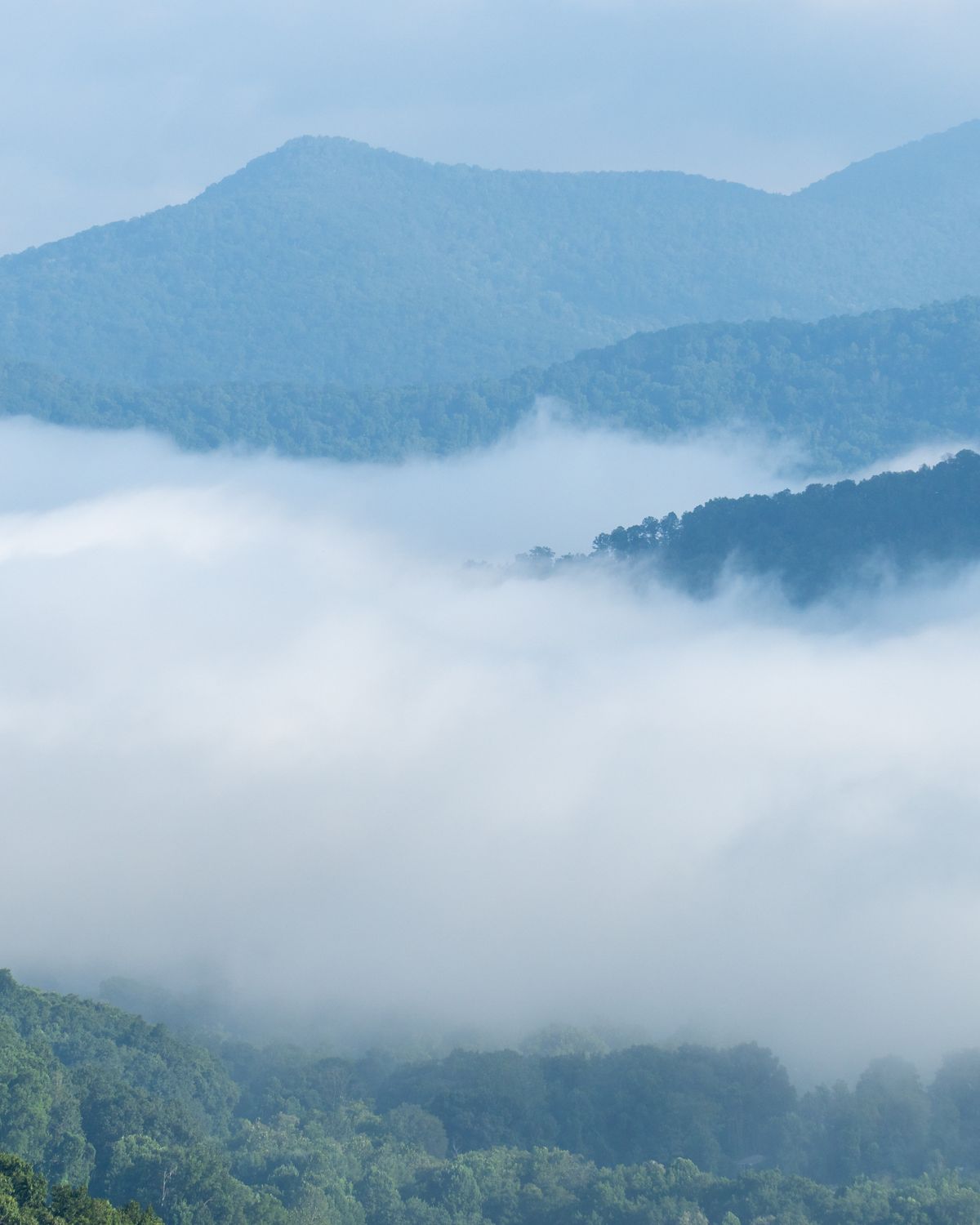 Misty Smoky Mountain ridges