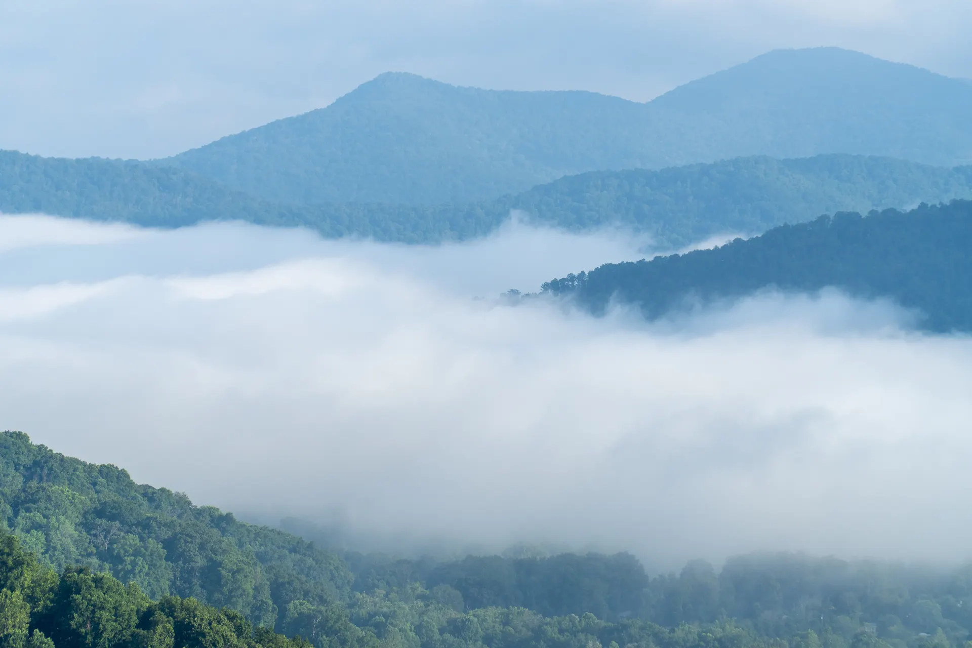Layered blue ridges under fog in the southern Appalachians Layered blue ridges under fog in the southern Appalachians