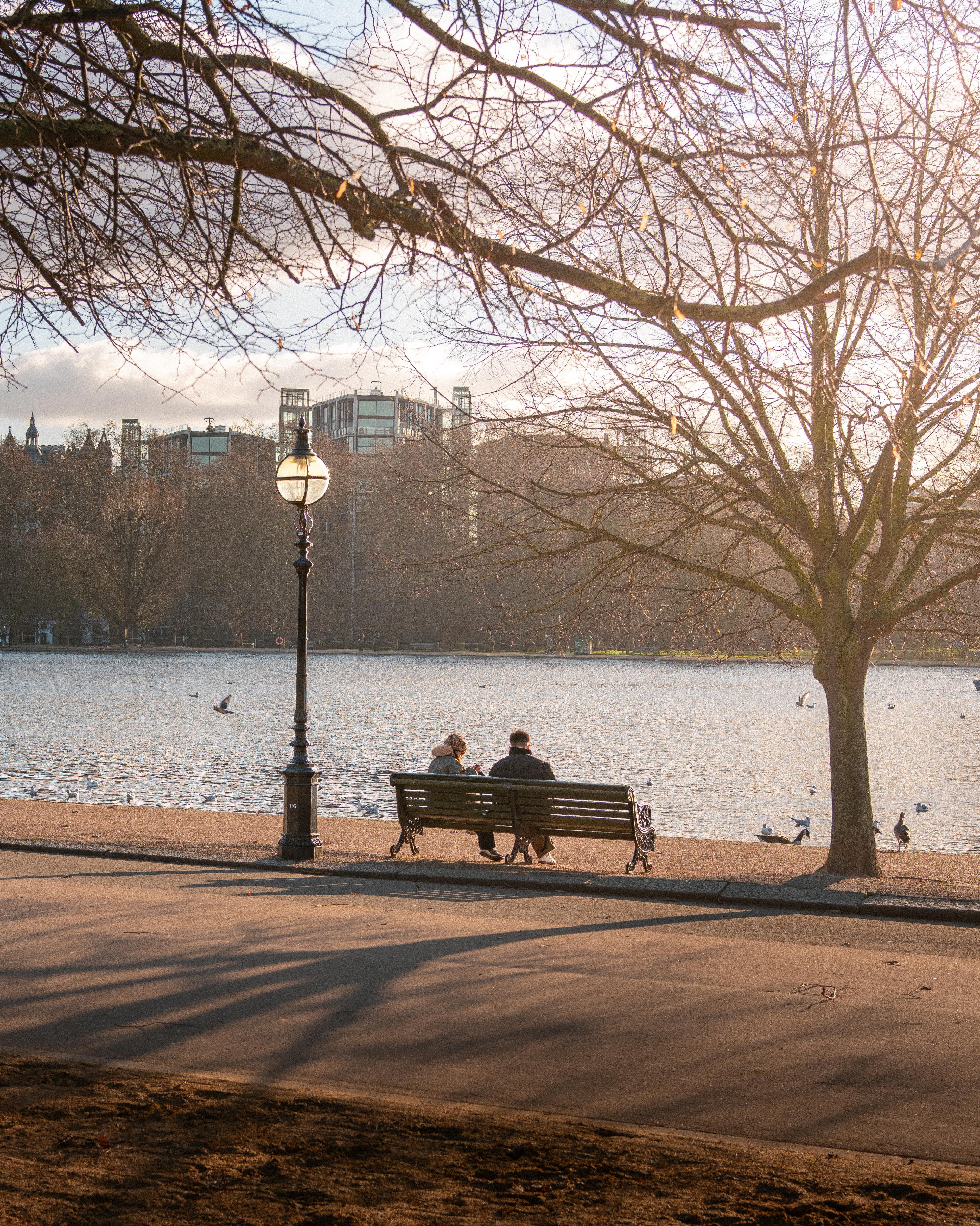 Couple enjoys a peaceful winter day on a park bench by the city lake. Tranquil and scenic.
