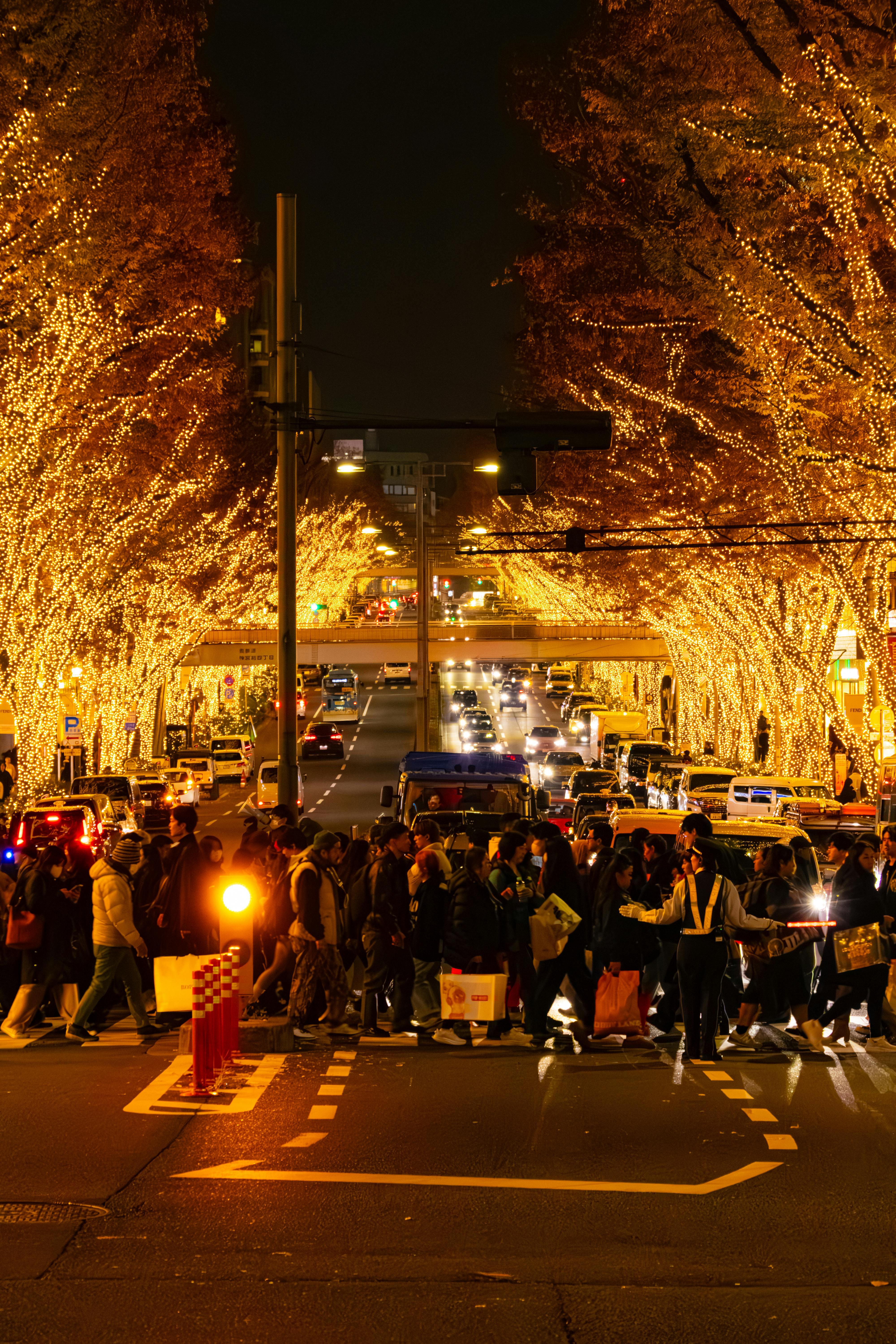 Genialer Intelligenter Roboter 5.0 adaptive lernmatrix\, image size:4000x6000