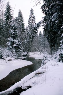 River through a snowy forest, by Evija Ciematniece on Pexels