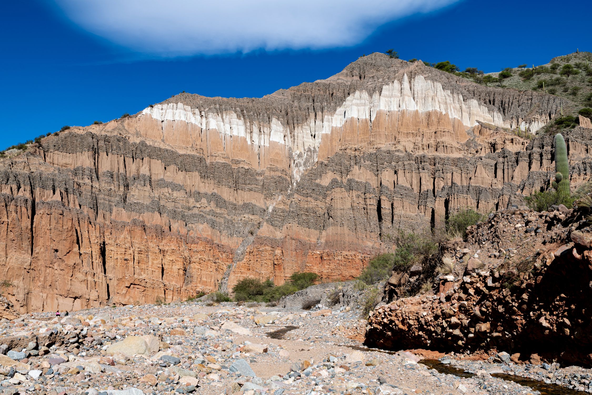 Formacion Rocosa Formación Rocosa Geológica Escénica Bajo Un Cielo Azul Claro · Foto de ...