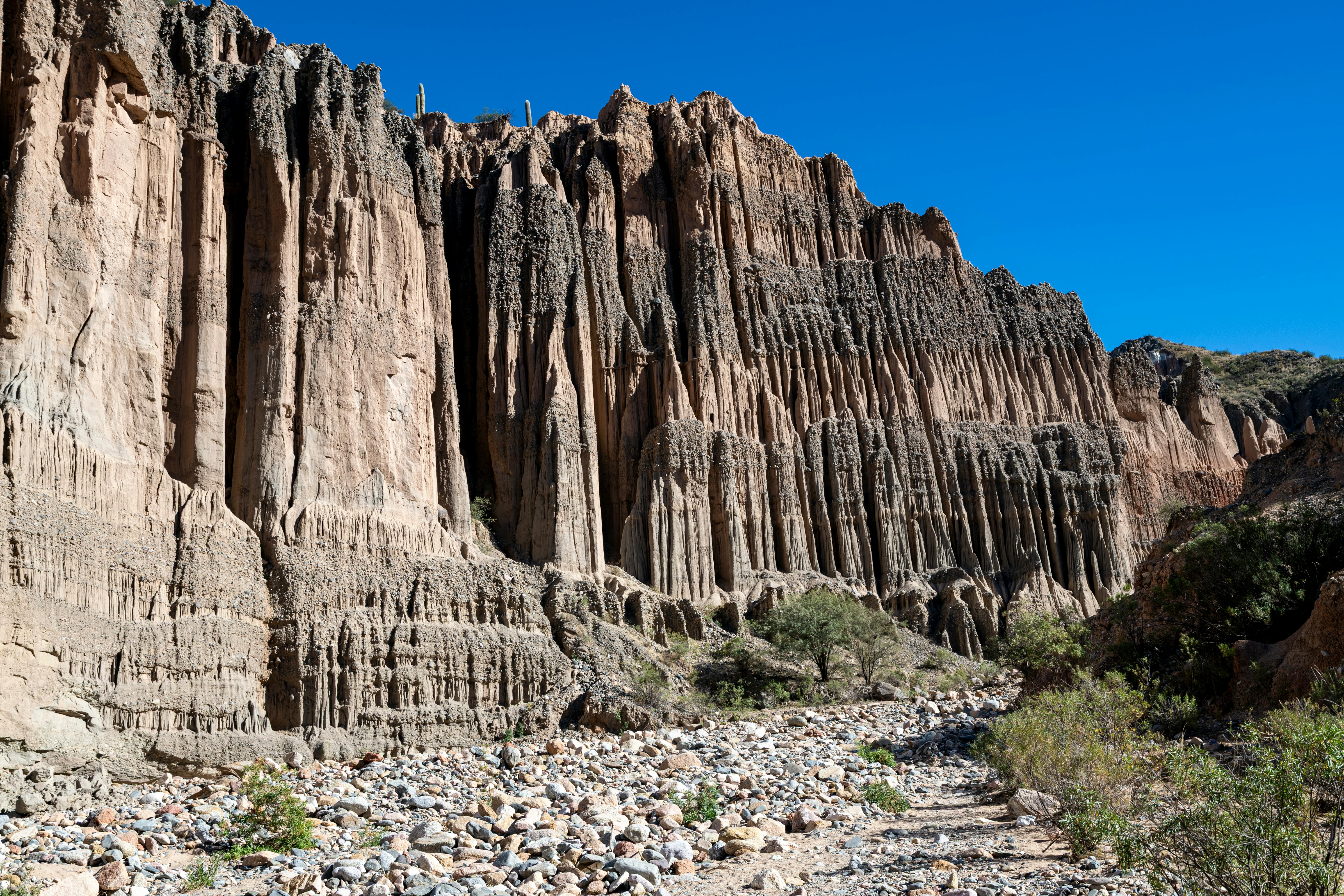 Madidi National Park, Bolivia - travel photo