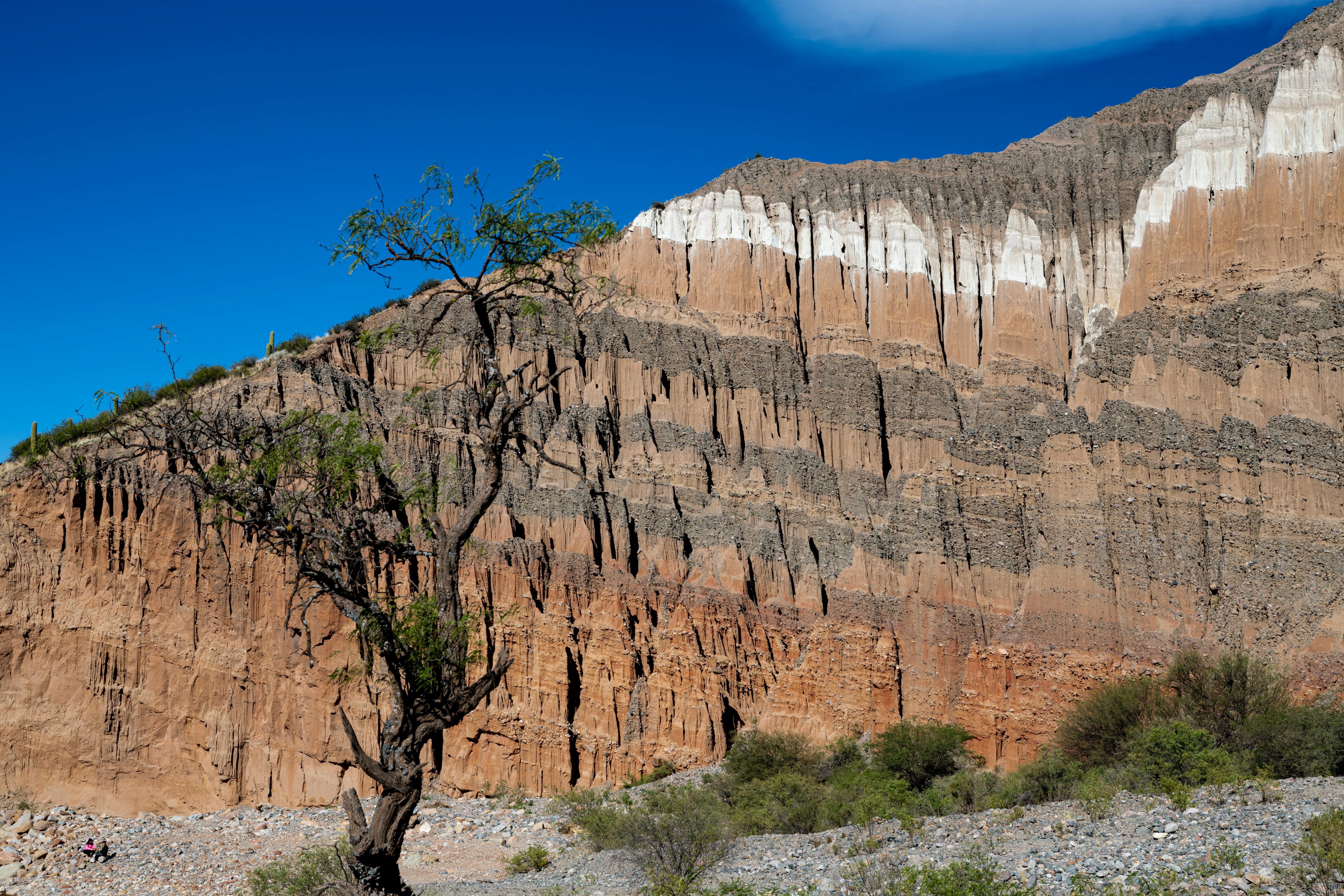Majestic layered cliff with a lone tree under a vivid blue sky. Perfect for nature lovers.