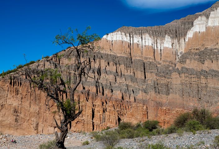 Majestic layered cliff with a lone tree under a vivid blue sky. Perfect for nature lovers.