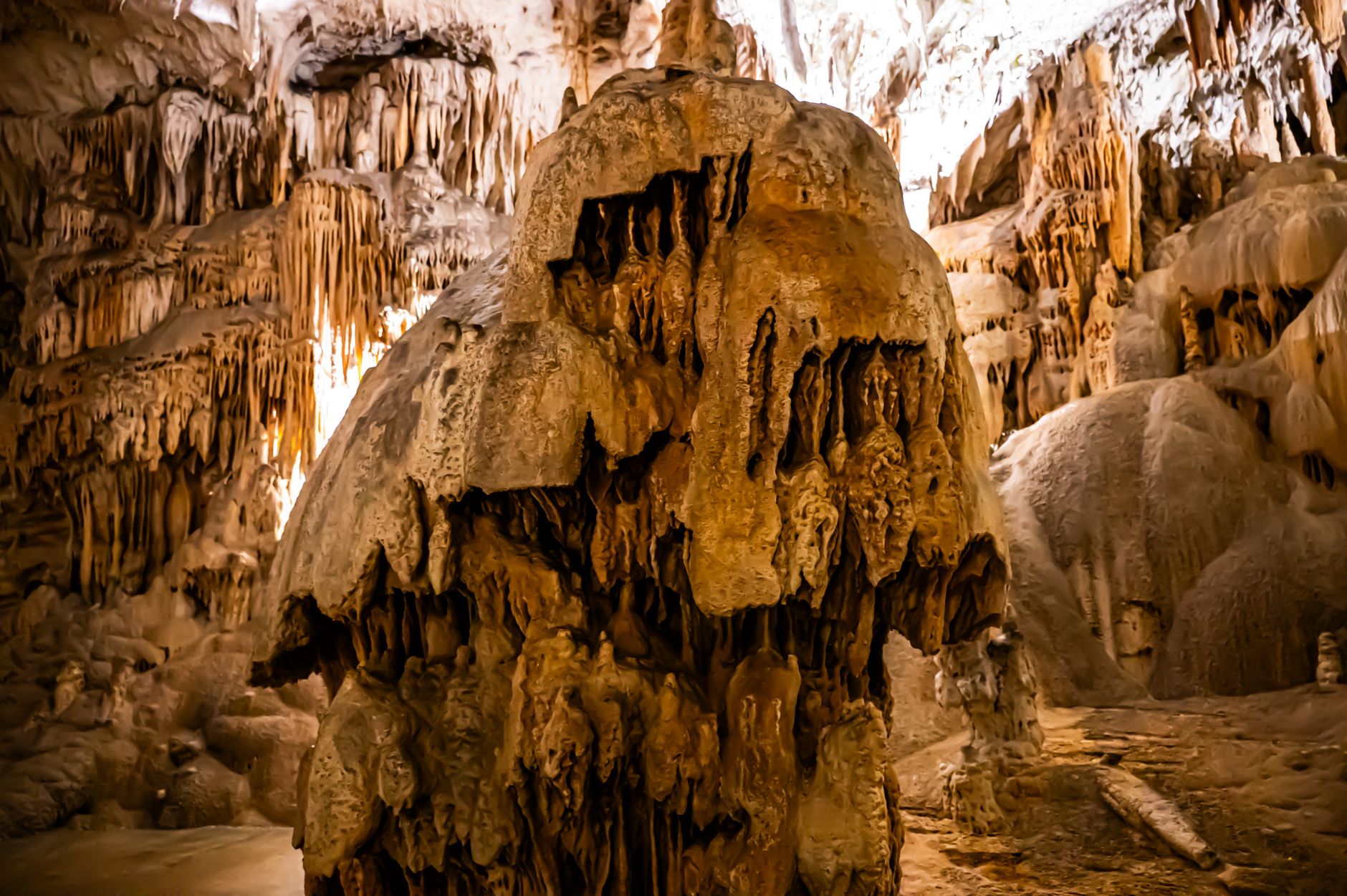 Explore the stunning formations within the famous Postojna Cave in Slovenia.