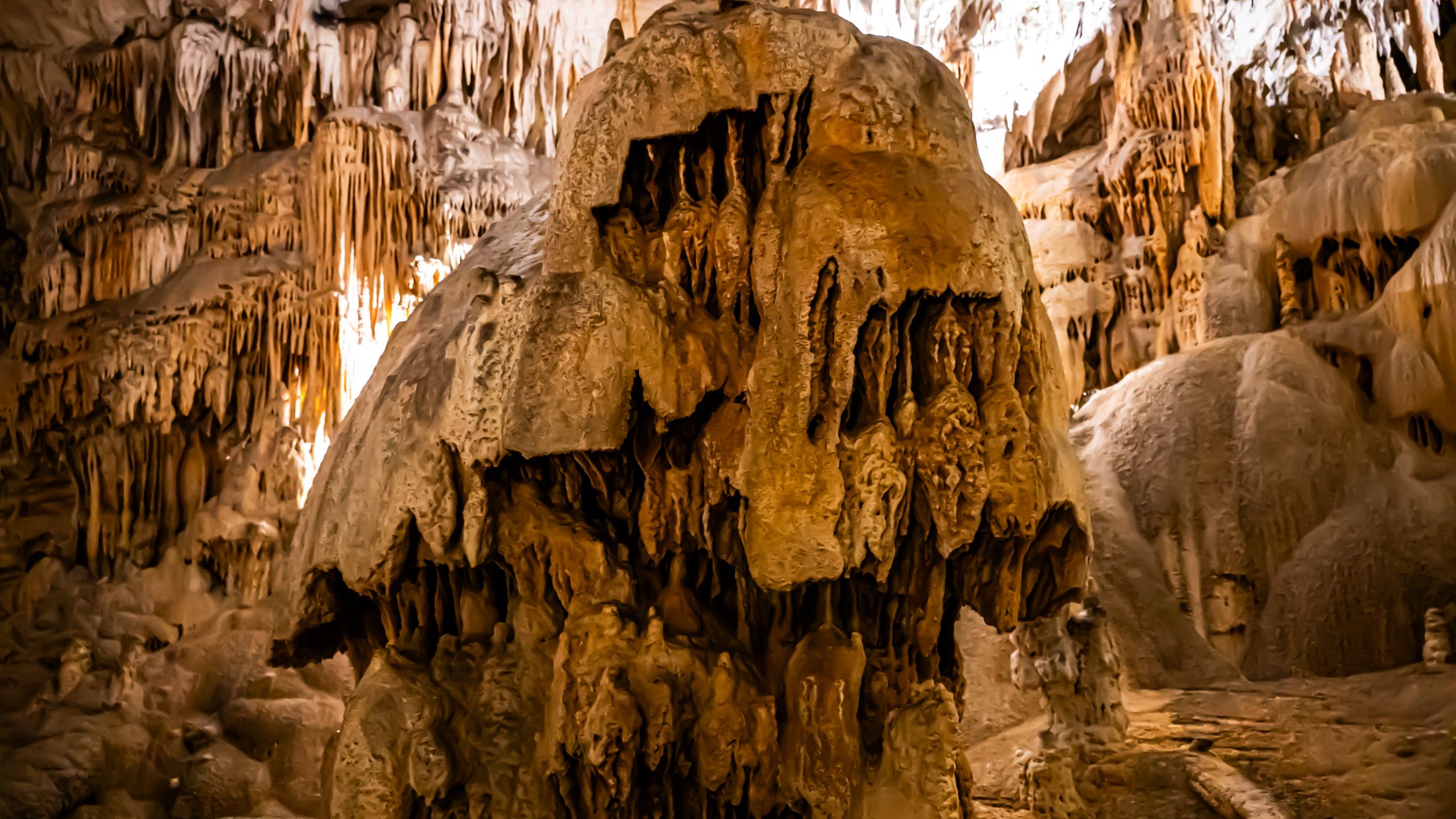 Explore the stunning formations within the famous Postojna Cave in Slovenia.