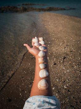 Arm with seashells lined up on a sandy beach by the ocean under the sun.