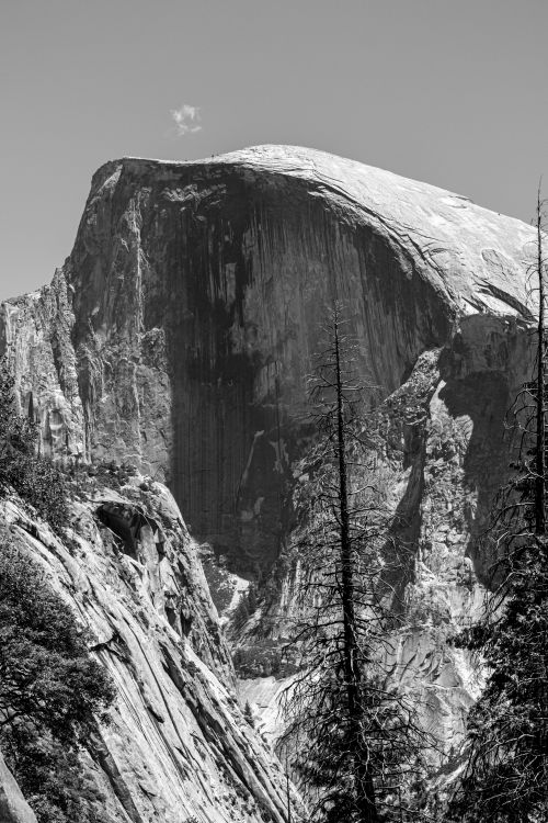 Free Stunning black and white capture of Yosemite's iconic Half Dome in summer. Stock Photo
