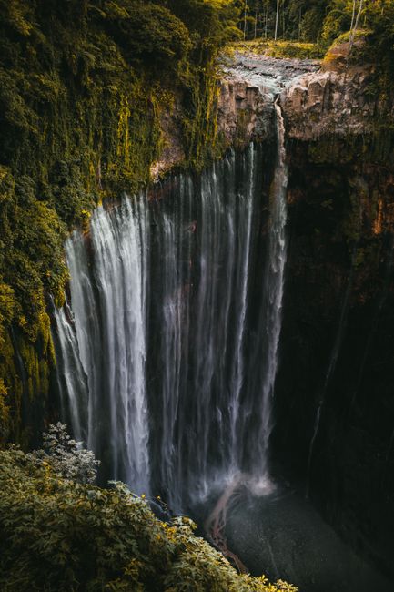Dramatic vertical waterfall cascading down a cliffside in a dense, green forest.