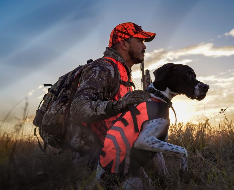 Image of Expert Dog Training and Hunting Outfit Services