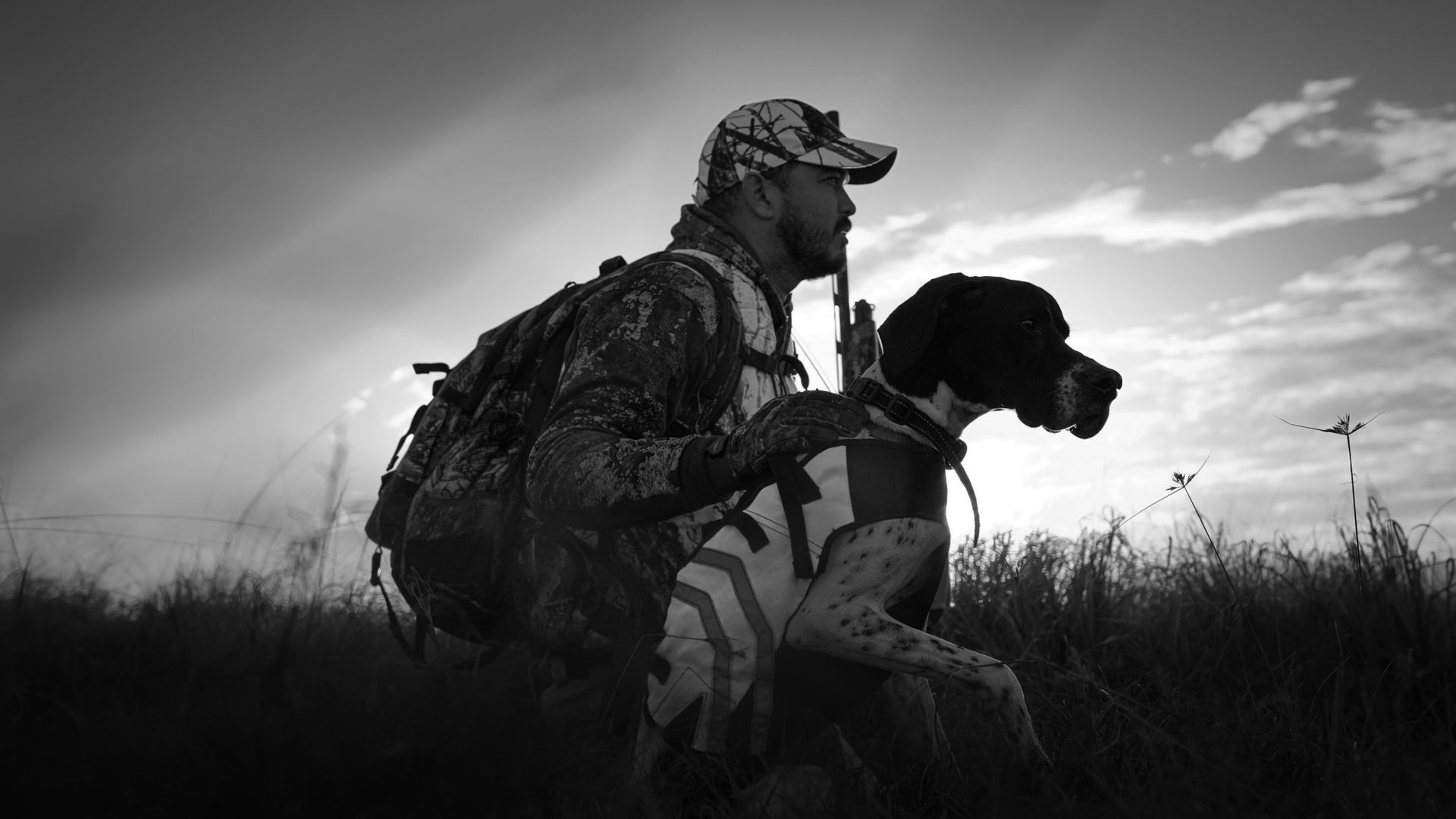 Labrador retrieving on a sunlit Kansas shoreline