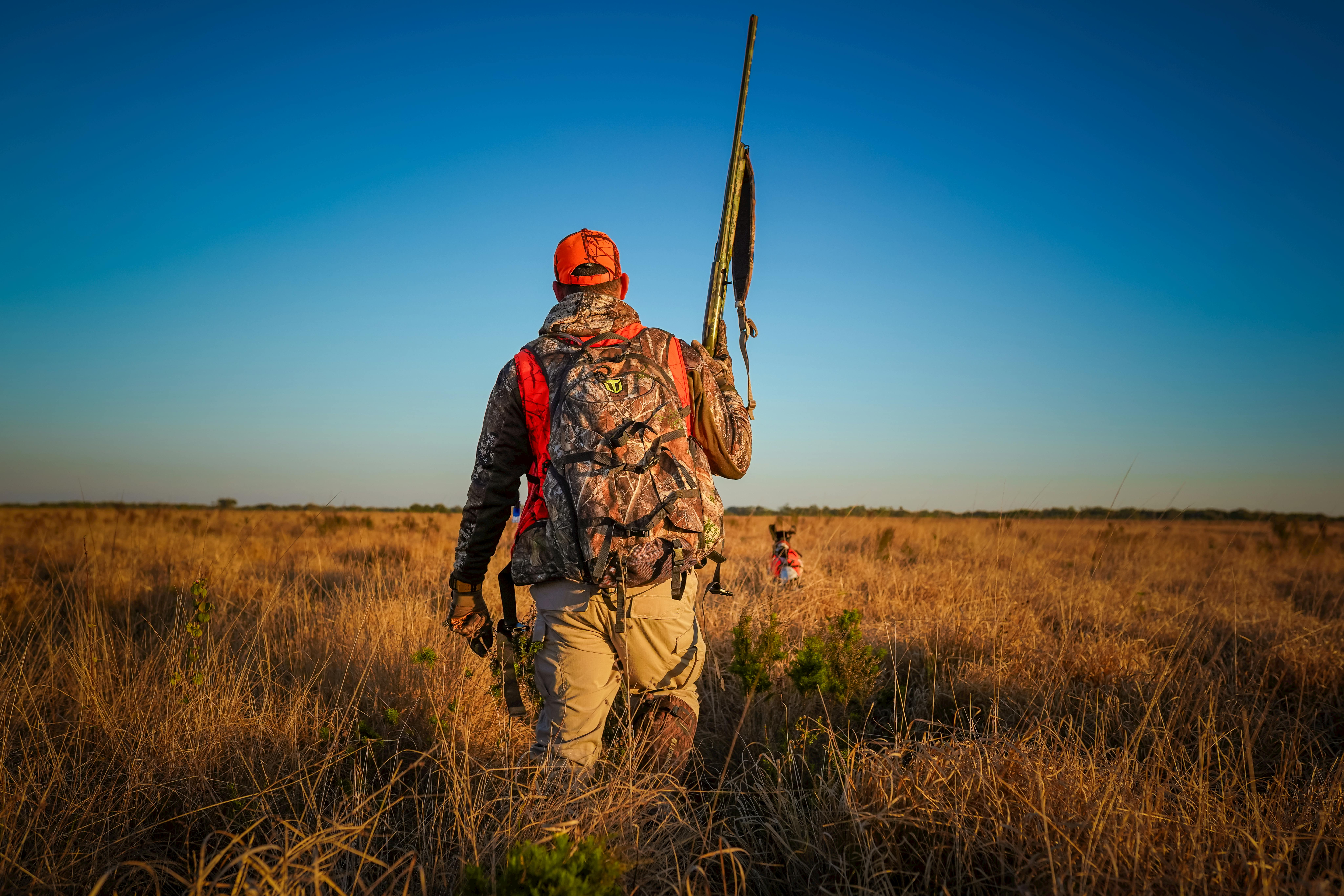 A hunter wearing camouflage walks through a grassy field at sunset holding a rifle, Florida.