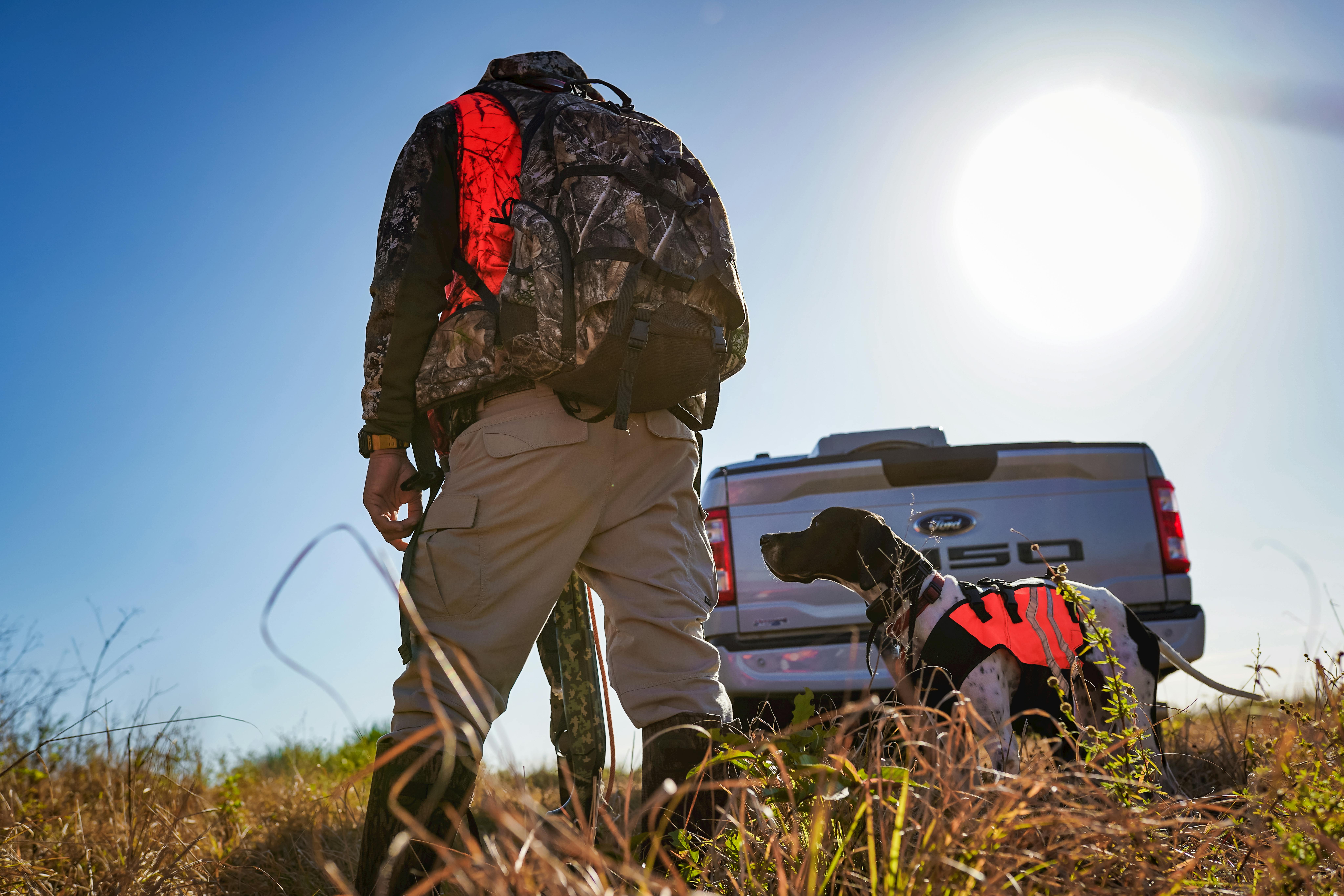 Hunter with a dog wearing orange vest in a Florida field. Bright sunny day.