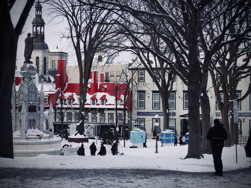 Quebec Frozen Dessert Maker Has Licences Suspended by CFIA