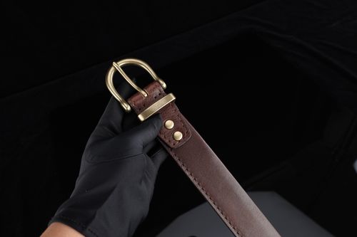 Free Elegant leather belt with brass buckle, perfect for fashion enthusiasts. Stock Photo