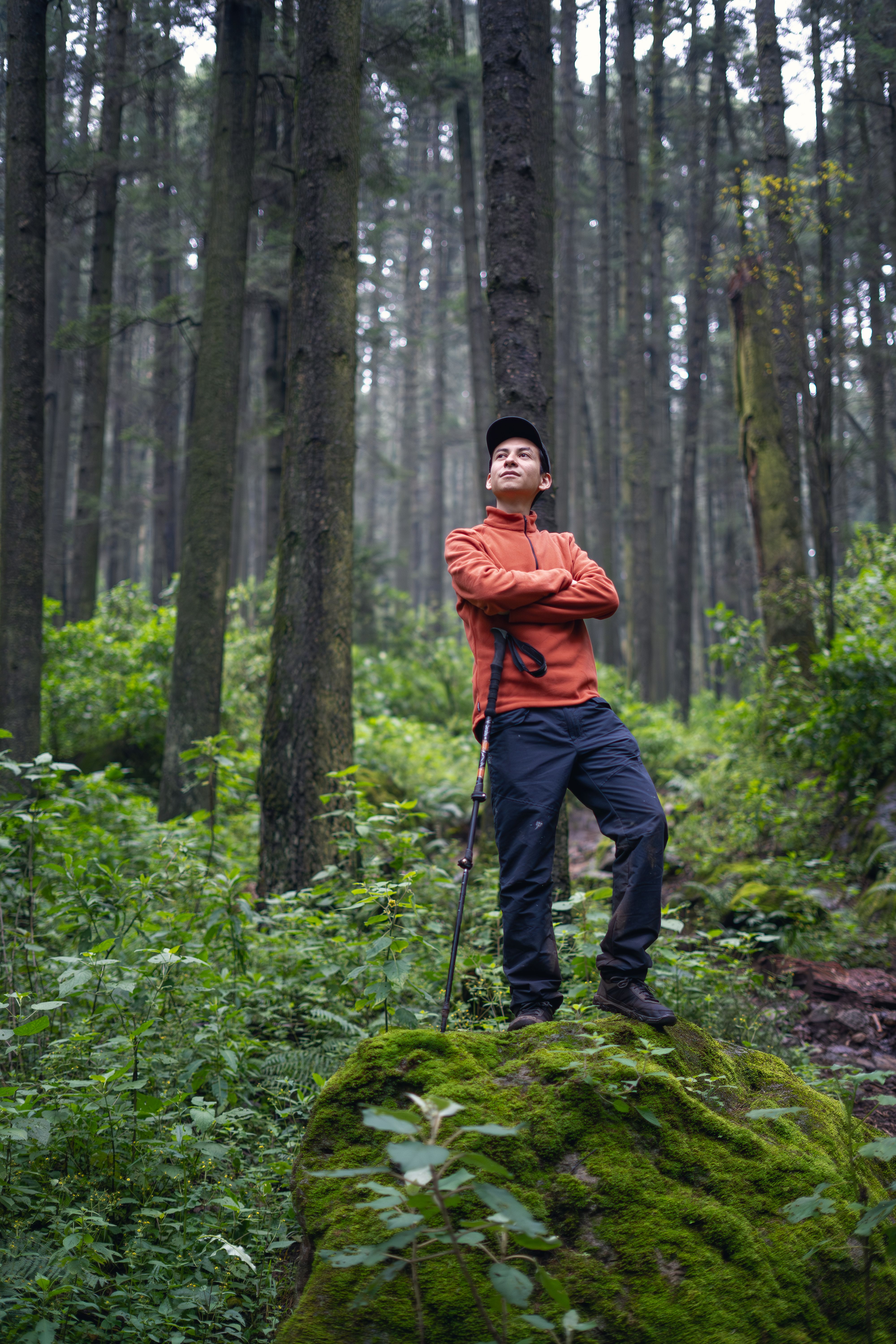 Young Male Hiker Posing in Lush Forest Landscape · Free Stock Photo
