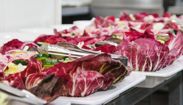 Radicchio