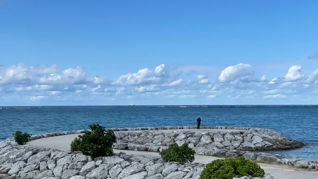 Taketomi water buffalo village — Okinawa