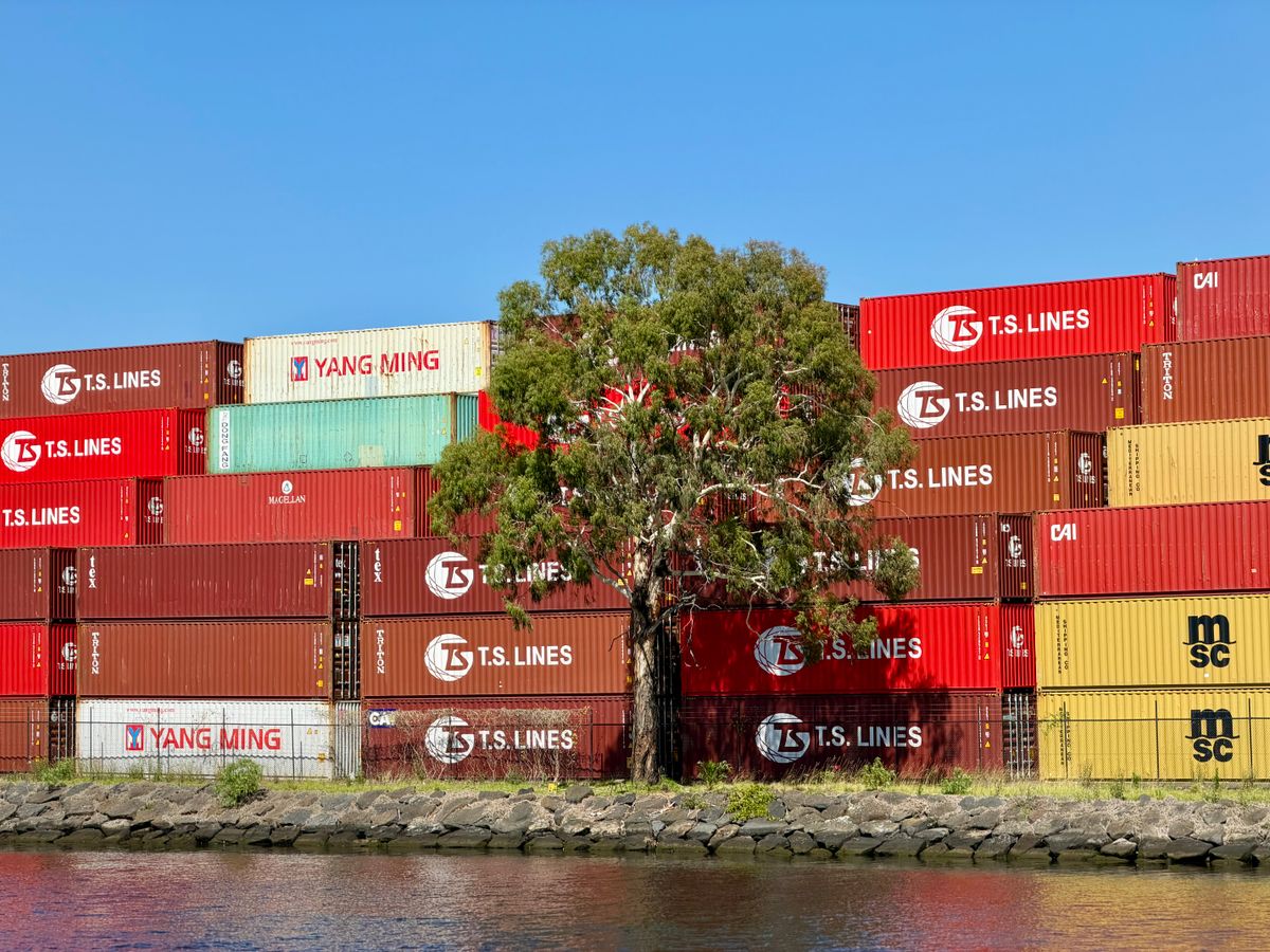 storage moves in Othery — Storage Moves in Othery — the working end of the job