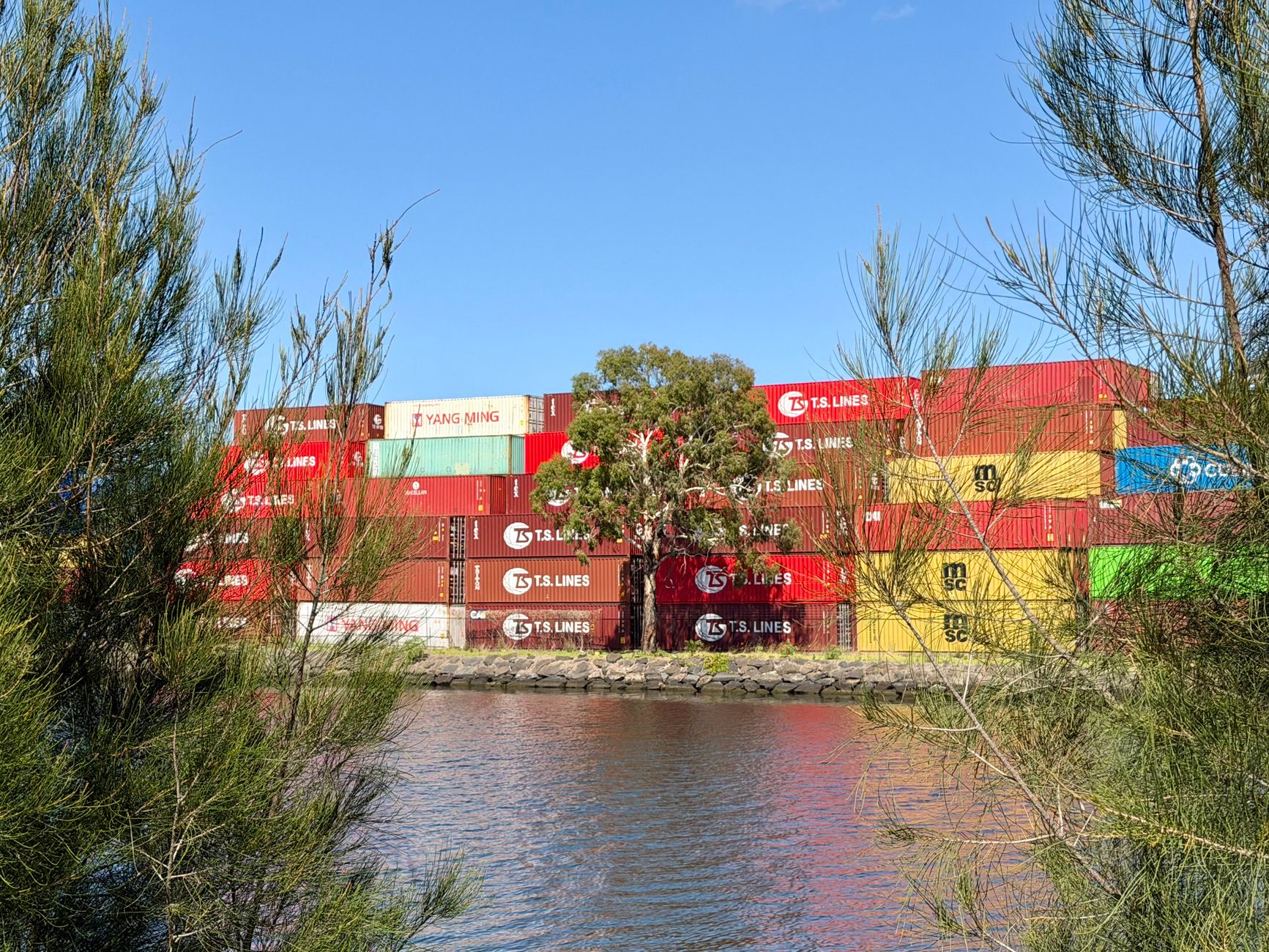 Vibrant shipping containers by a waterside with natural greenery in West Melbourne, Australia.