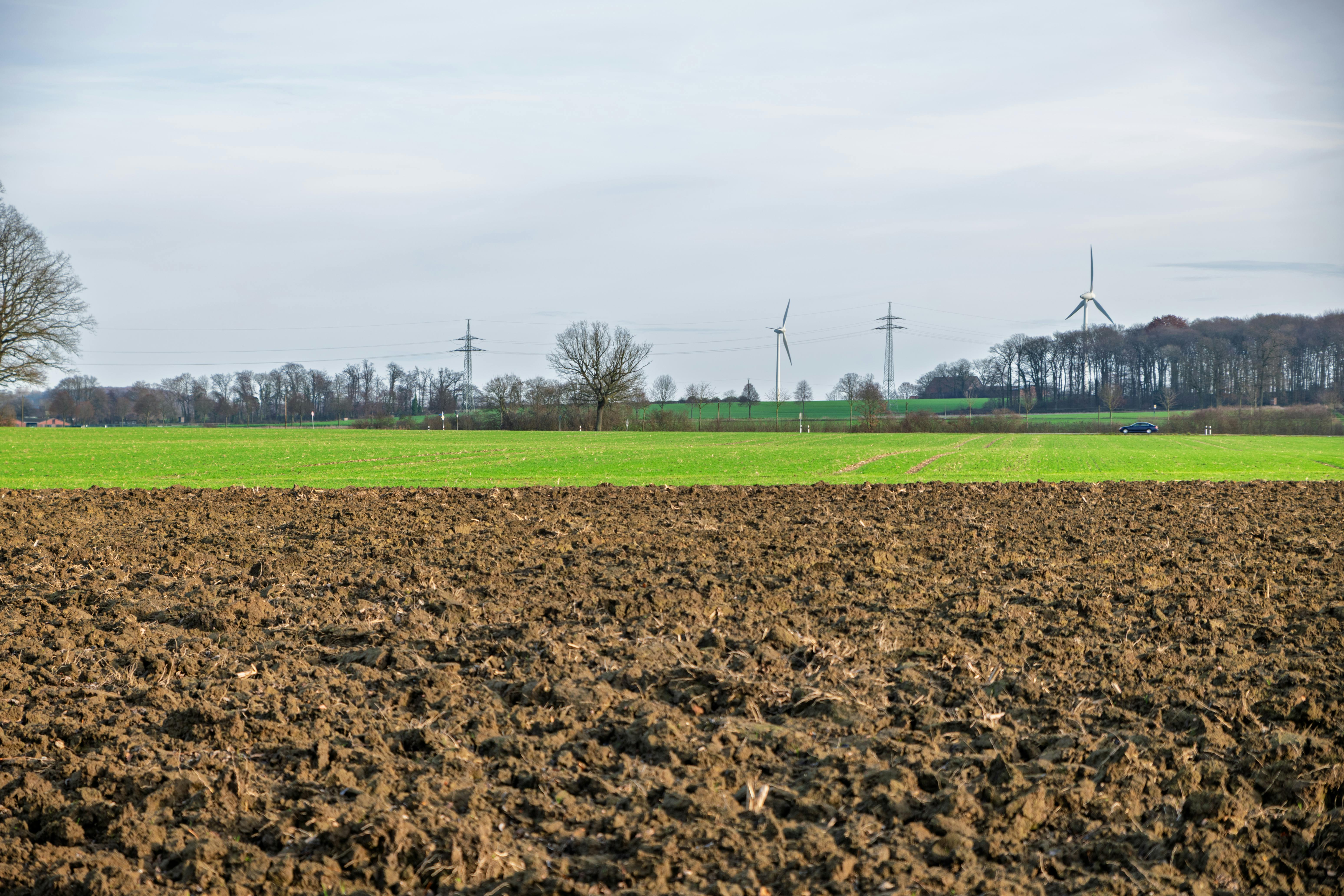 EcoTech Innovations: Pioneering Sustainable Technology Solutions