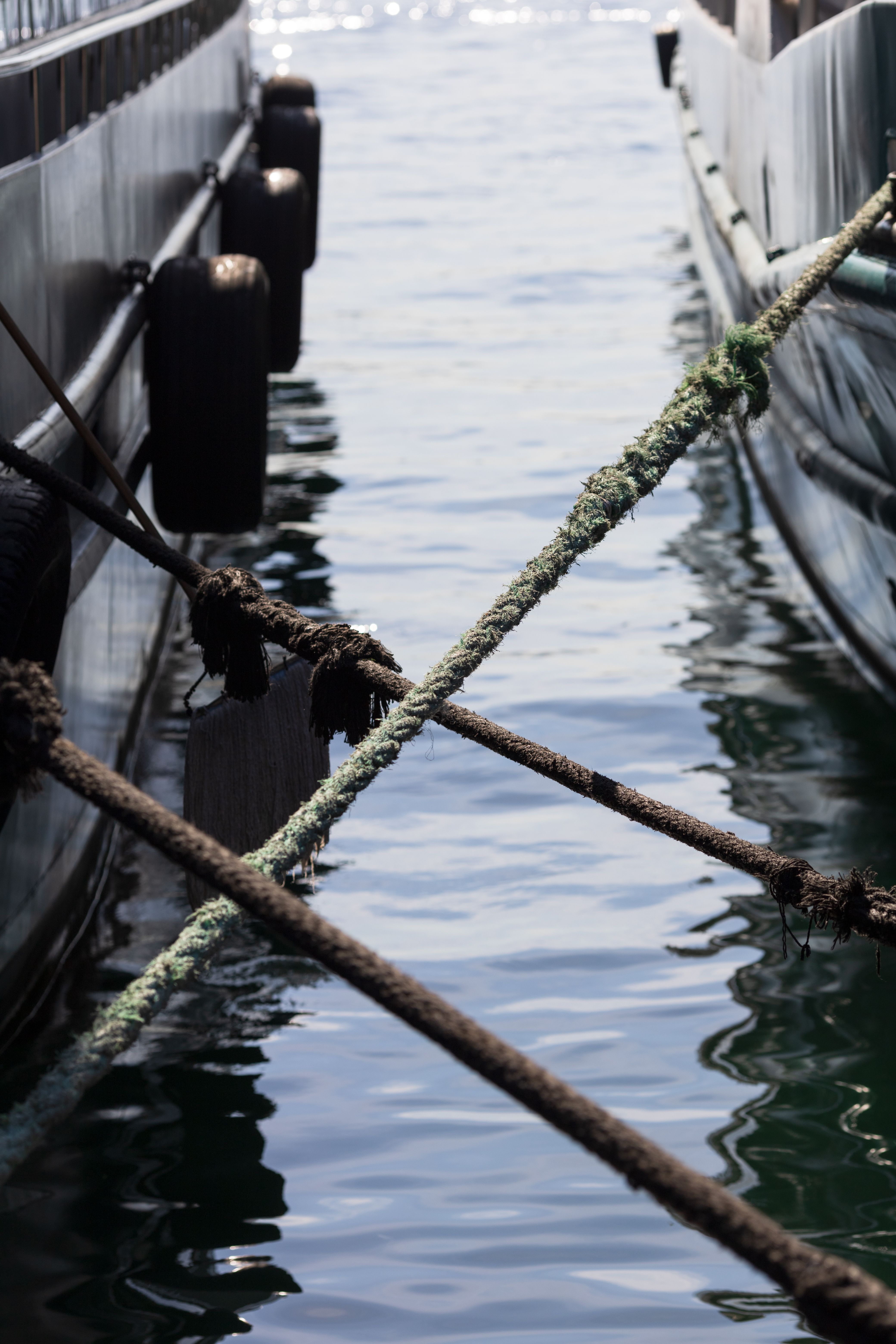 Ropes Tying Boats at Dockside Marina · Free Stock Photo