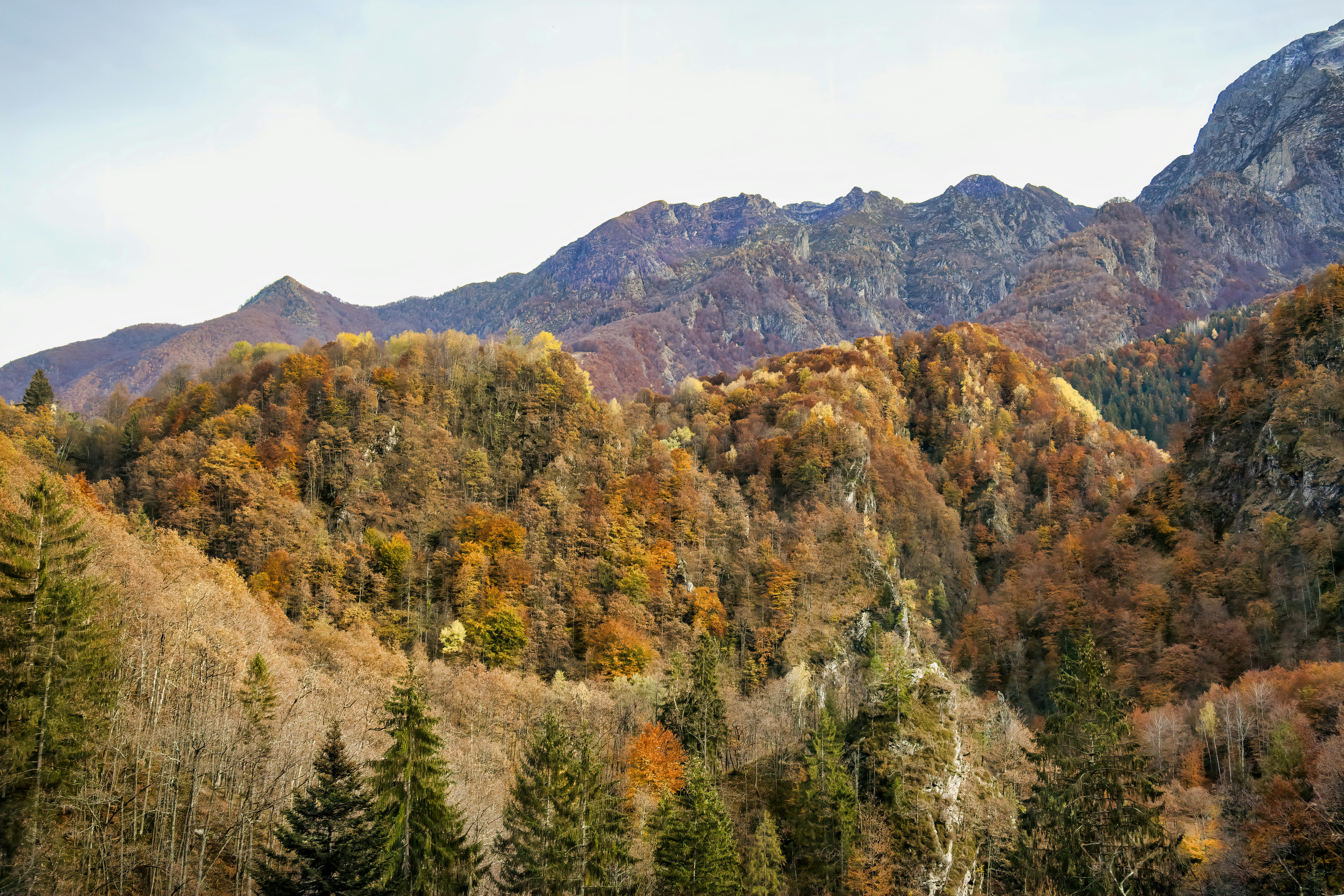 Terre rouge minière