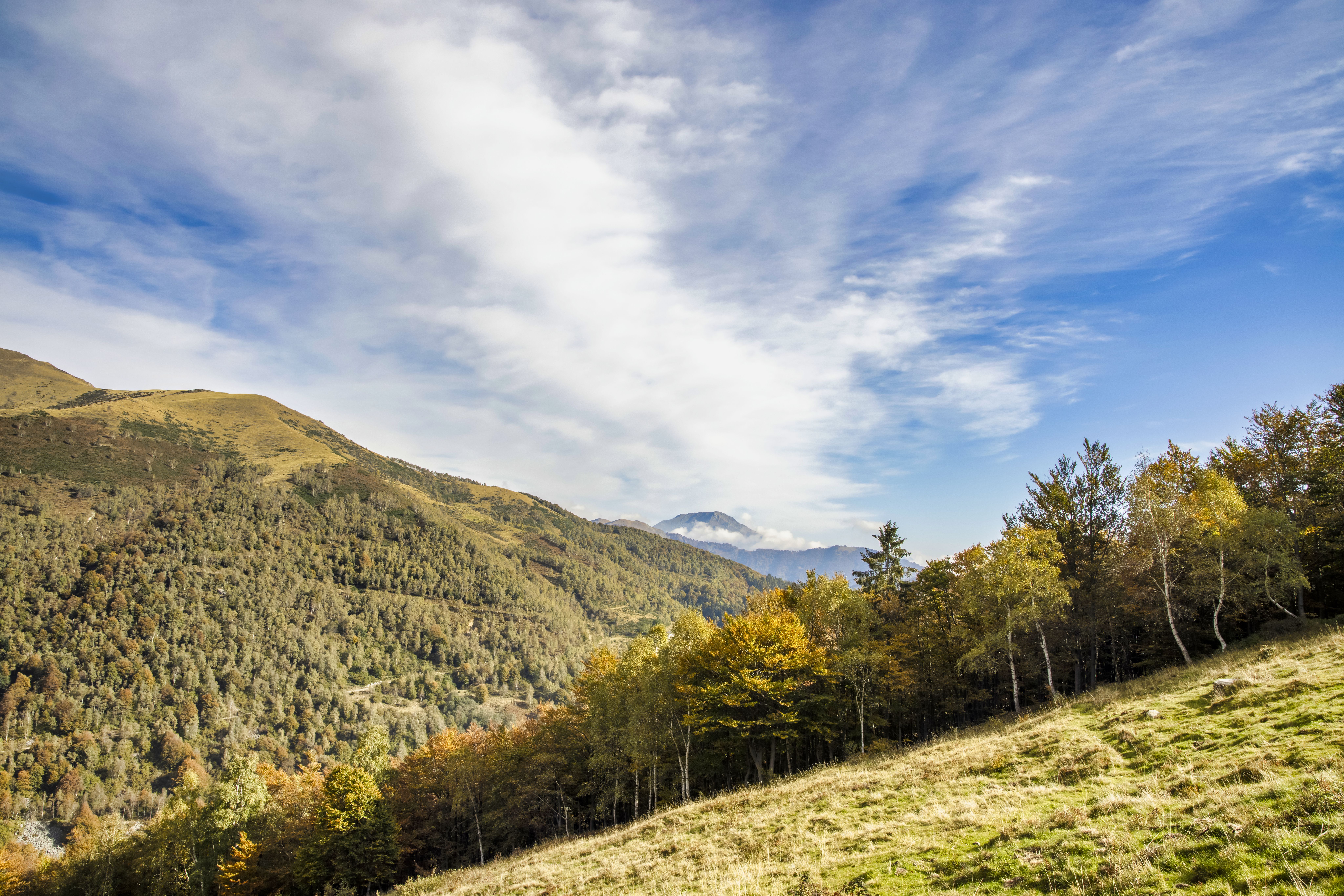 Scenic Mountain Landscape with Autumn Foliage · Free Stock Photo