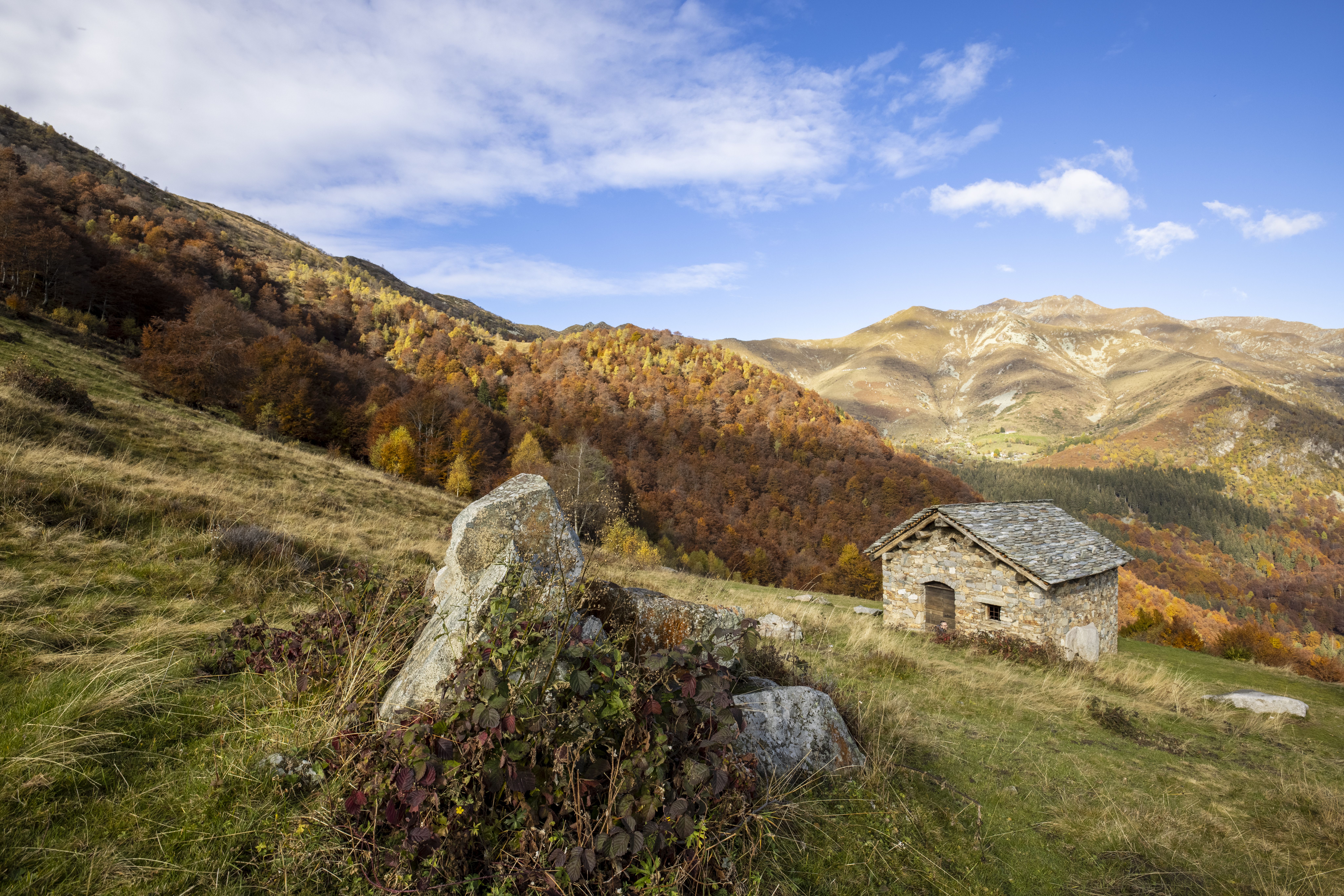 Scenic Autumn Mountain Landscape with Rustic Cabin · Free Stock Photo